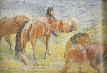 Franz Marc Graing Horses i (mk34)